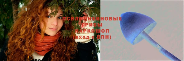 гашиш Беломорск