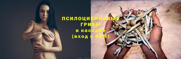 apvp Белоозёрский