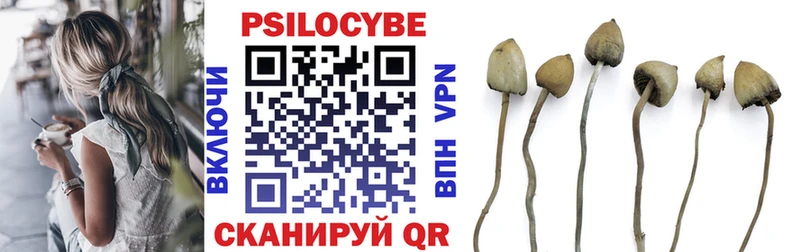 Галлюциногенные грибы Cubensis  Георгиевск 